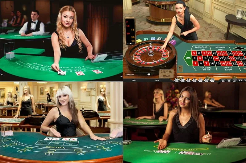 Suasana dukungan dan pilihan meja di kasino live TOTO777